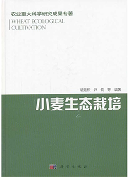 С����̬����