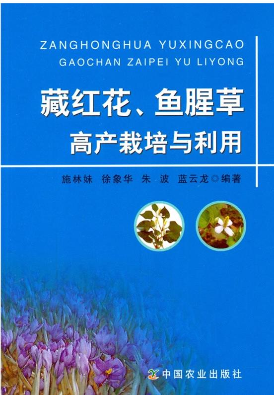 �غ컨 ���Ȳݸ߲�����������