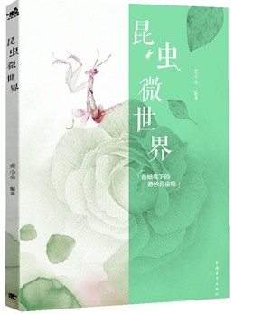 ����΢����