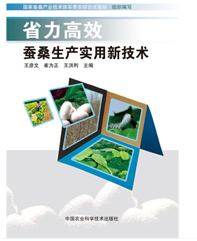 ʡ����Ч��ɣ����ʵ���¼���