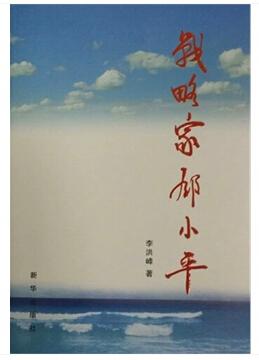 ս�Լҵ�Сƽ����װ��